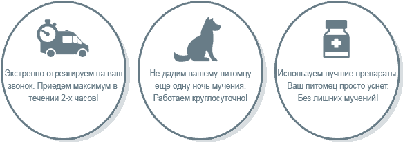 Усыпление и кремация собак в Красногорске